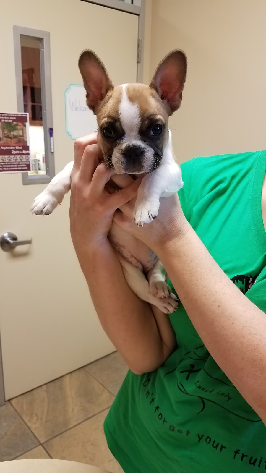 Atwater Veterinary Center | 2100 Bell Dr, Atwater, CA 95301, USA | Phone: (209) 358-6000