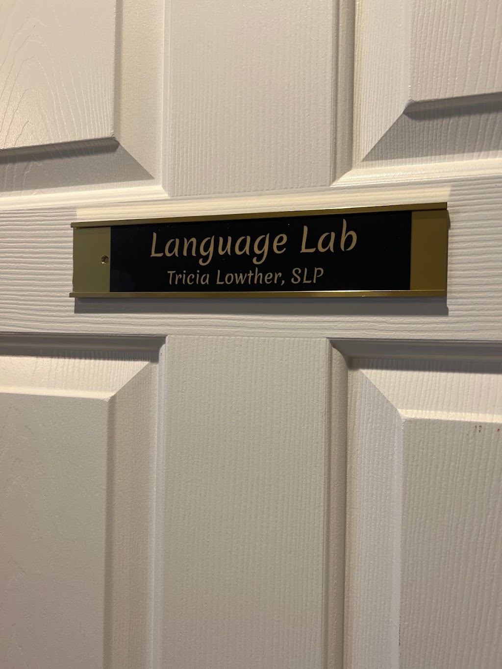 Language Lab, LLC | 2450 Atlanta Hwy Suite 204, Cumming, GA 30040, USA | Phone: (678) 361-2980