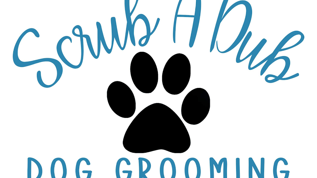 ScrubADub Dog Grooming | 1229 Central Ave, Colonie, NY 12205, USA | Phone: (518) 698-5117