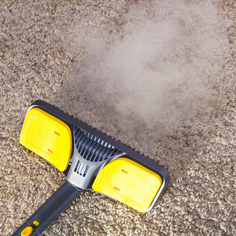 Fosters Steamer Carpet Cleaning | 6314 Pioneer Point Dr, San Antonio, TX 78244, USA | Phone: (210) 781-7061