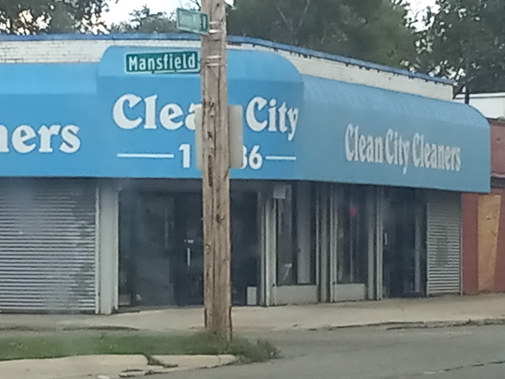 Clean City | 16036 W Seven Mile Rd, Detroit, MI 48235, USA | Phone: (313) 273-8660