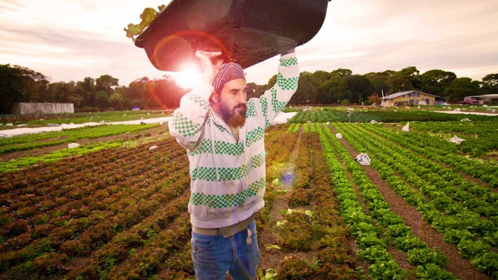 Jessicas Organic Farm | 4180 47th St, Sarasota, FL 34235, USA | Phone: (941) 363-1586