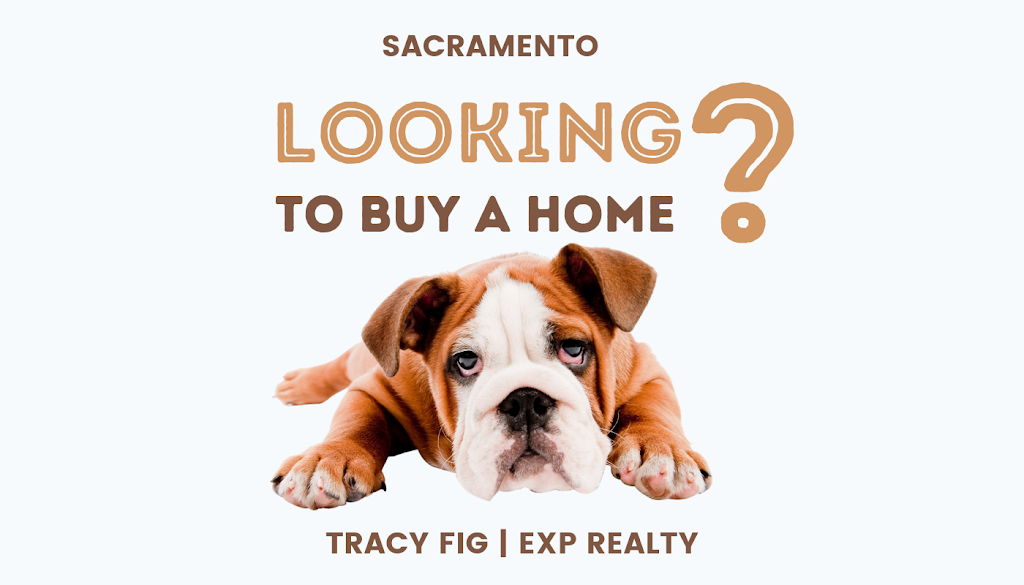Tracy Fig - 1031 Tax Exchanges | 4267 Narraganset Way, Mather, CA 95655, USA | Phone: (916) 628-7355