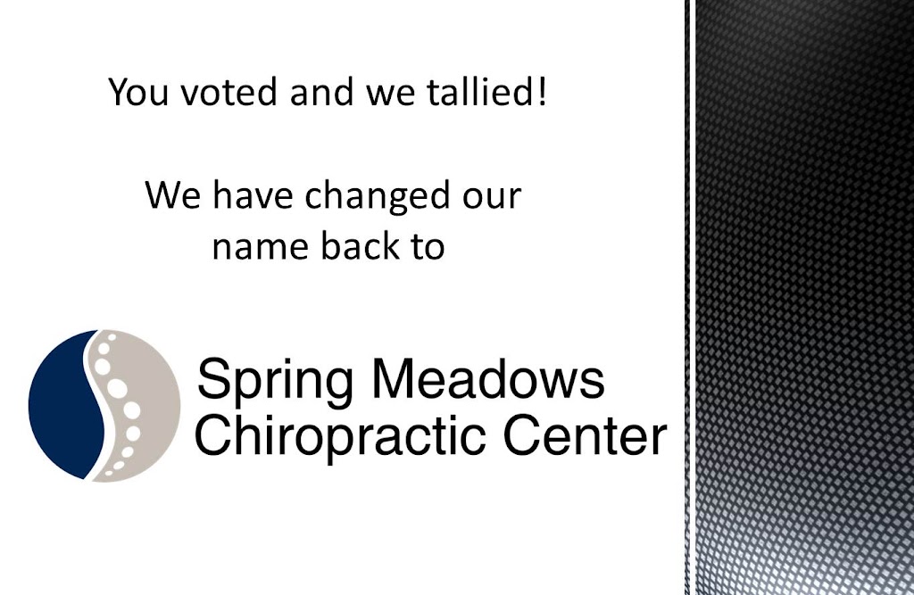 Spring Meadows Chiropractic | 6823 Spring Valley Dr, Holland, OH 43528, USA | Phone: (419) 866-6325