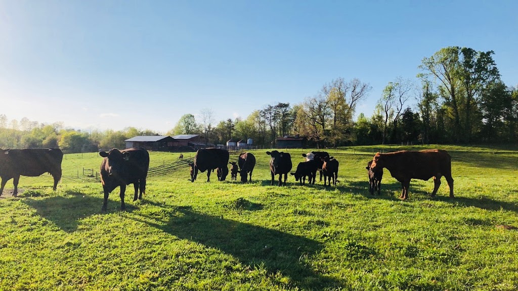 Old Holler Farm | 2350 Memorial Industrial School Rd, Rural Hall, NC 27045, USA | Phone: (336) 918-4320