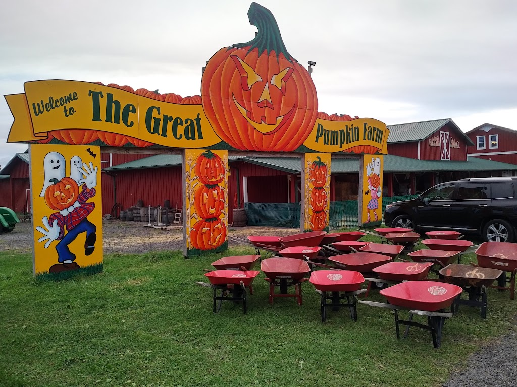 Great Pumpkin Farm | 11199 Main St, Clarence, NY 14031, USA | Phone: (716) 759-1929