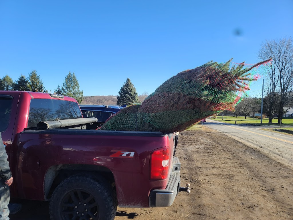 Buttenschon Christmas Tree Farm | 9663 Luke Rd, Marcy, NY 13403, USA | Phone: (315) 865-4849