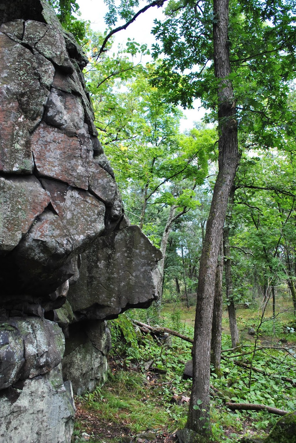 Osceola Bedrock Glades State Natural Area | County Rd S, Osceola, WI 54020, USA | Phone: (888) 936-7463