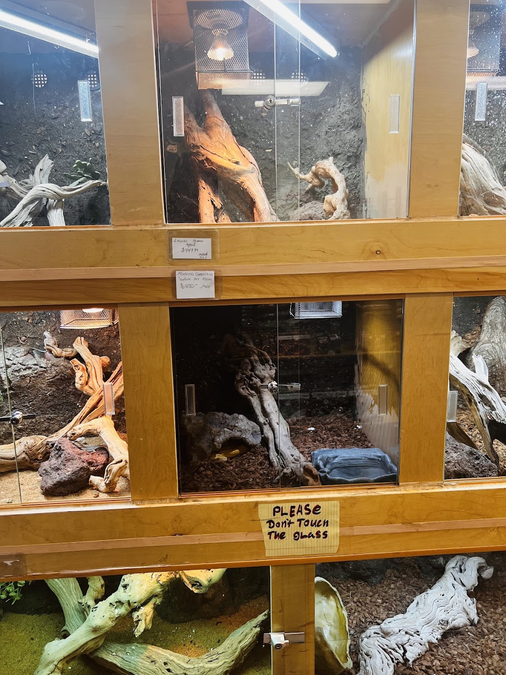 REPTILE FACTORY | 14309 Bear Valley Rd #1B, Victorville, CA 92392, USA | Phone: (760) 552-5331