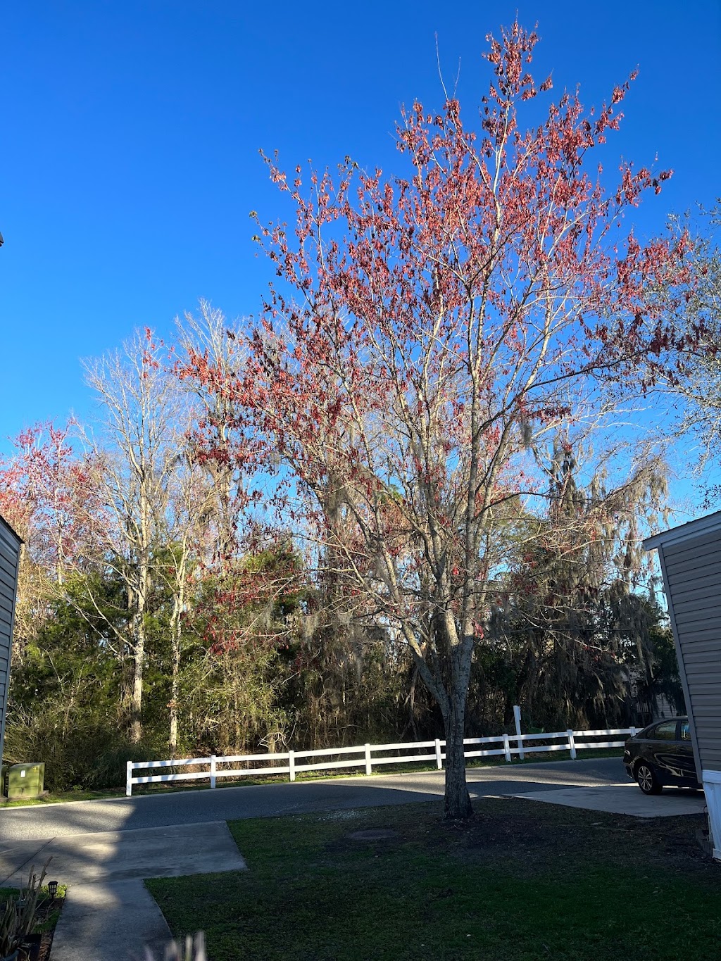 Oceanway Village | 489 Starratt Rd # L-111, Jacksonville, FL 32218, USA | Phone: (904) 696-2550