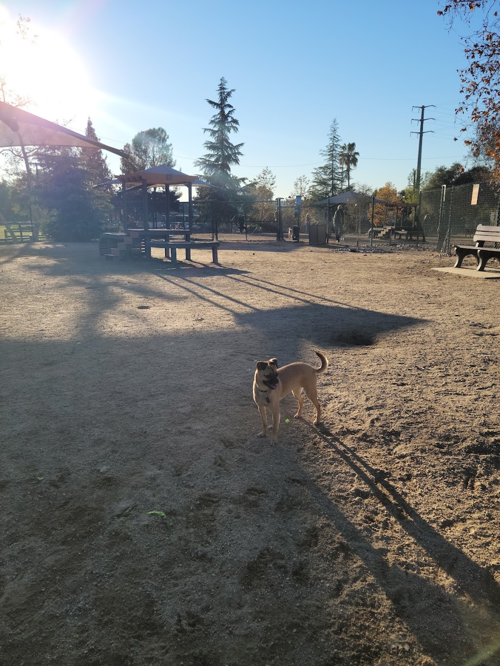 South Pawsadena Dog Park | 650 Stoney Dr, South Pasadena, CA 91030, USA | Phone: (626) 403-7380