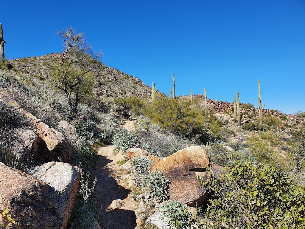 Mesquite Canyon Trail | Mesquite Canyon Trail, Waddell, AZ 85355, USA | Phone: (623) 935-2505