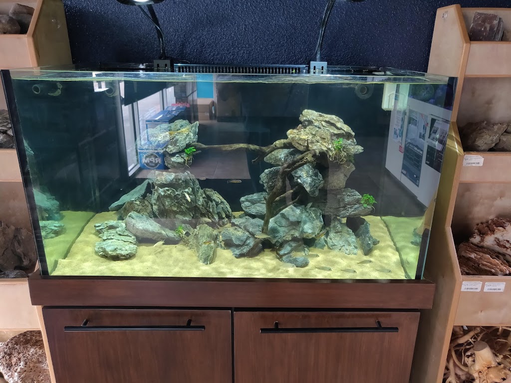 Rift 2 Reef Aquatics | 2250 Justin Rd #116, Highland Village, TX 75077, USA | Phone: (972) 317-2341