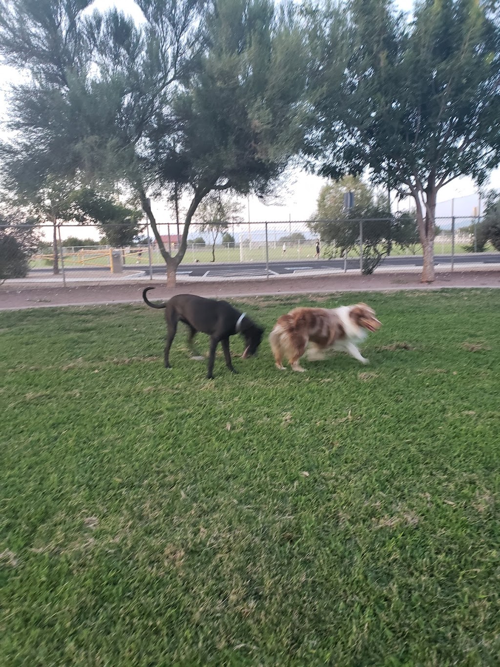 Quail Creek-Veterans Municipal Park - Town of Sahuarita | 1905 S Old Nogales Hwy, Sahuarita, AZ 85629, USA | Phone: (520) 445-7850