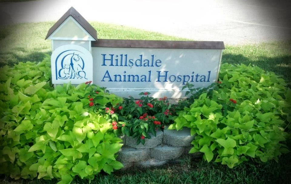 Hillsdale Animal Hospital - Karla Frazier, DVM | 134 Medical Dr, Advance, NC 27006, USA | Phone: (336) 998-8750