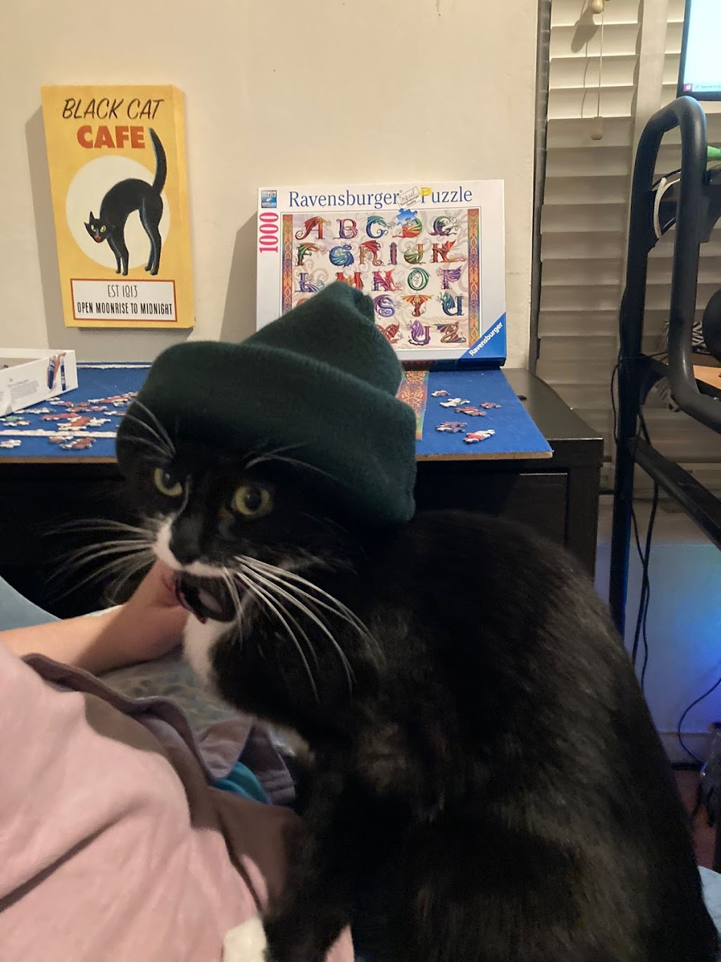 Acorn Veterinary Clinic | 1340 E Covell Blvd # 101, Davis, CA 95616, USA | Phone: (530) 753-7580