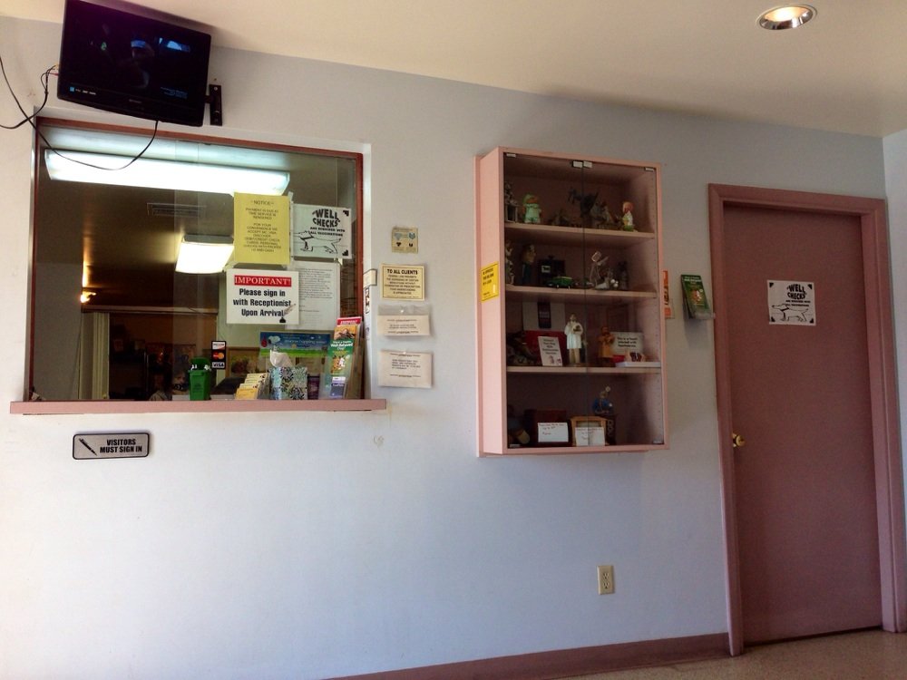 New River Veterinary Hospital | 48410 N Black Canyon Hwy, New River, AZ 85087, USA | Phone: (623) 465-9488