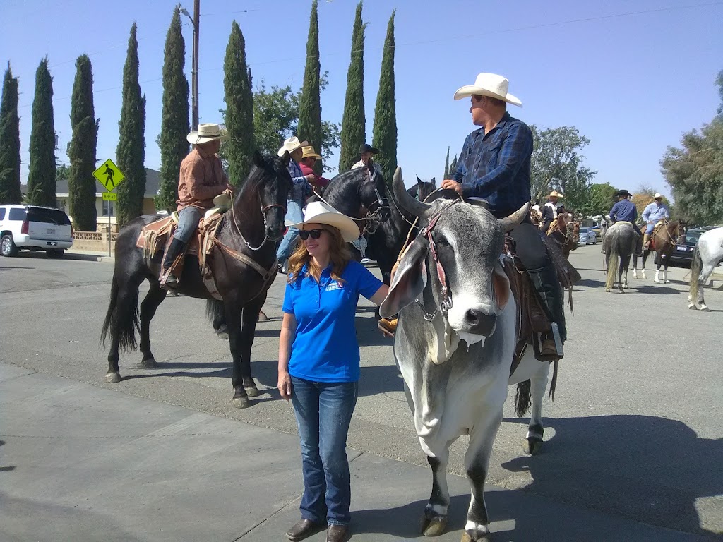 Buttonwillow Recreation & Park District | 556 Milo Ave, Buttonwillow, CA 93206 | Phone: (661) 764-5205