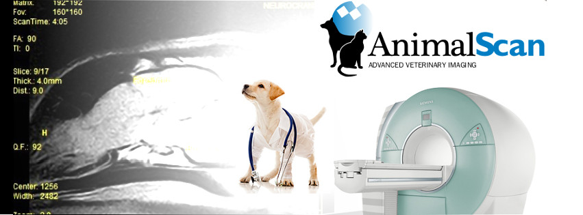 AnimalScan Advanced Veterinary Imaging | 6405 Tryon Rd, Cary, NC 27518 | Phone: (919) 838-5209