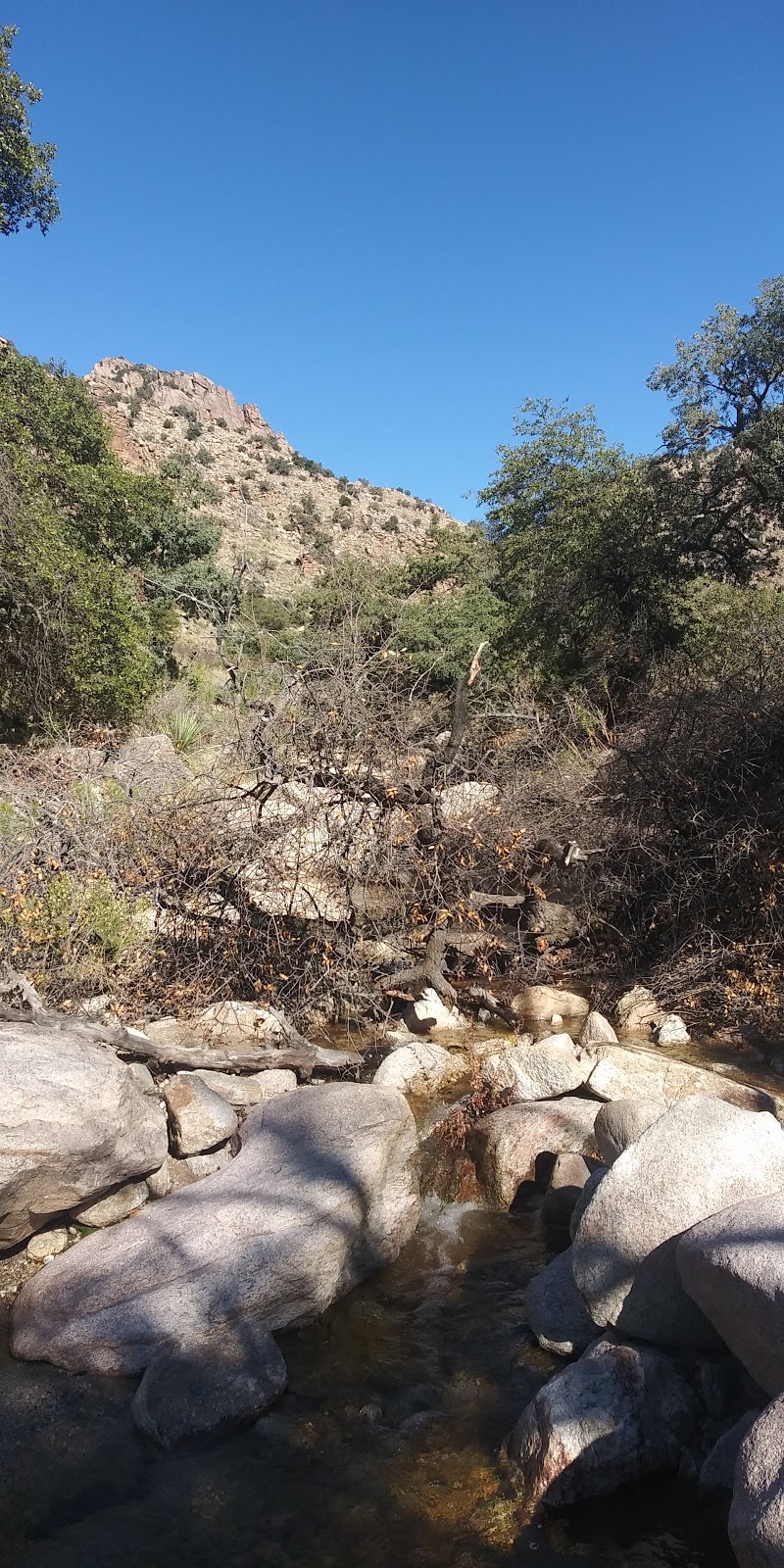 Molino Basin Trailhead | Arizona National Scenic Trail, Tucson, AZ 85749, USA | Phone: (520) 724-9999