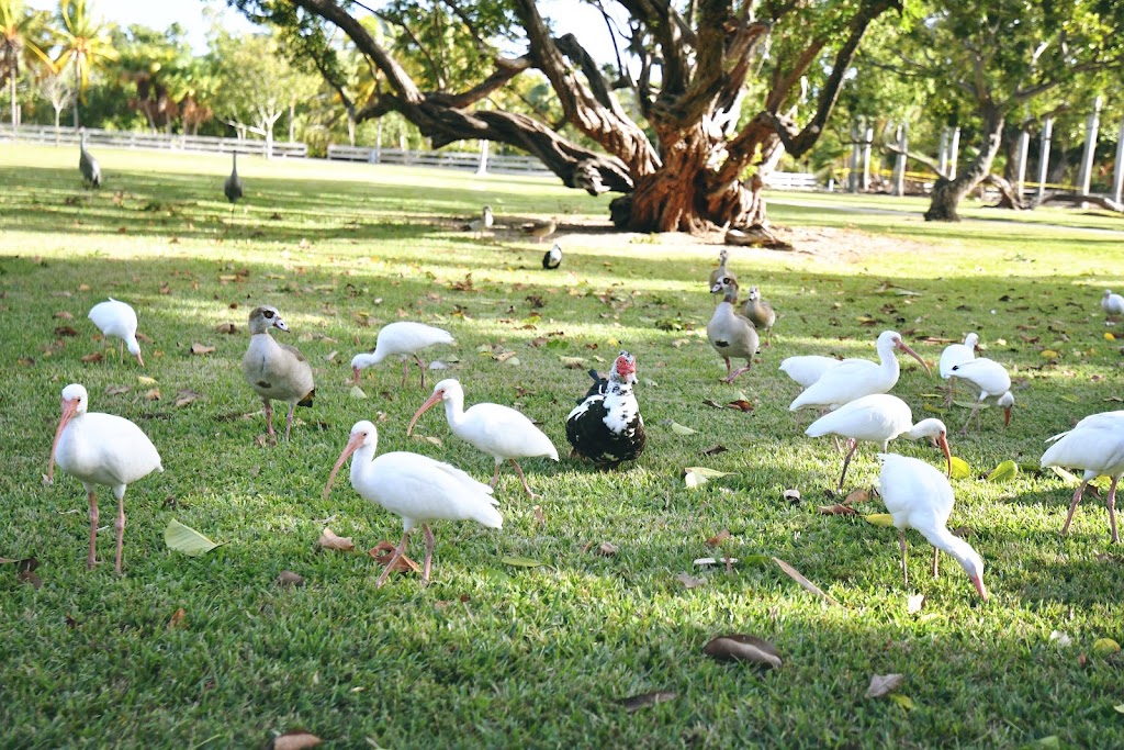 Crandon Park Ibis Shelter | Key Biscayne, FL 33149, USA | Phone: (305) 361-5421