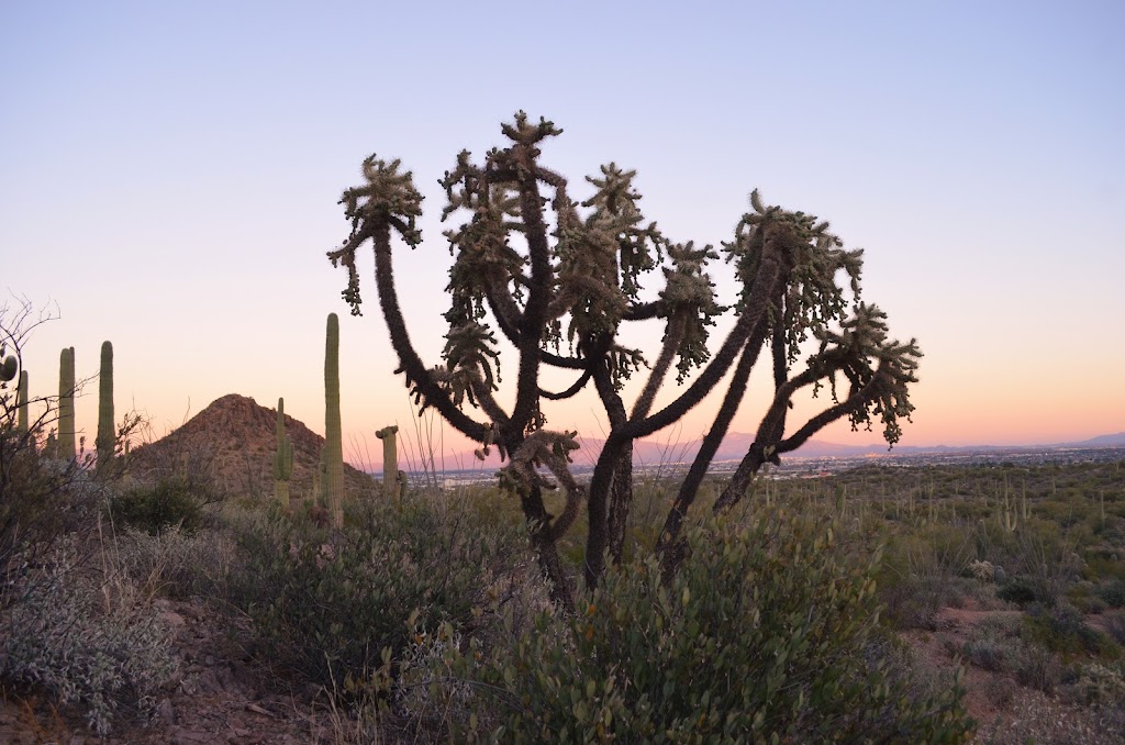 Pima County 36th Street Trailhead | 3280 W 36th St, Tucson, AZ 85713, USA | Phone: (520) 877-6000