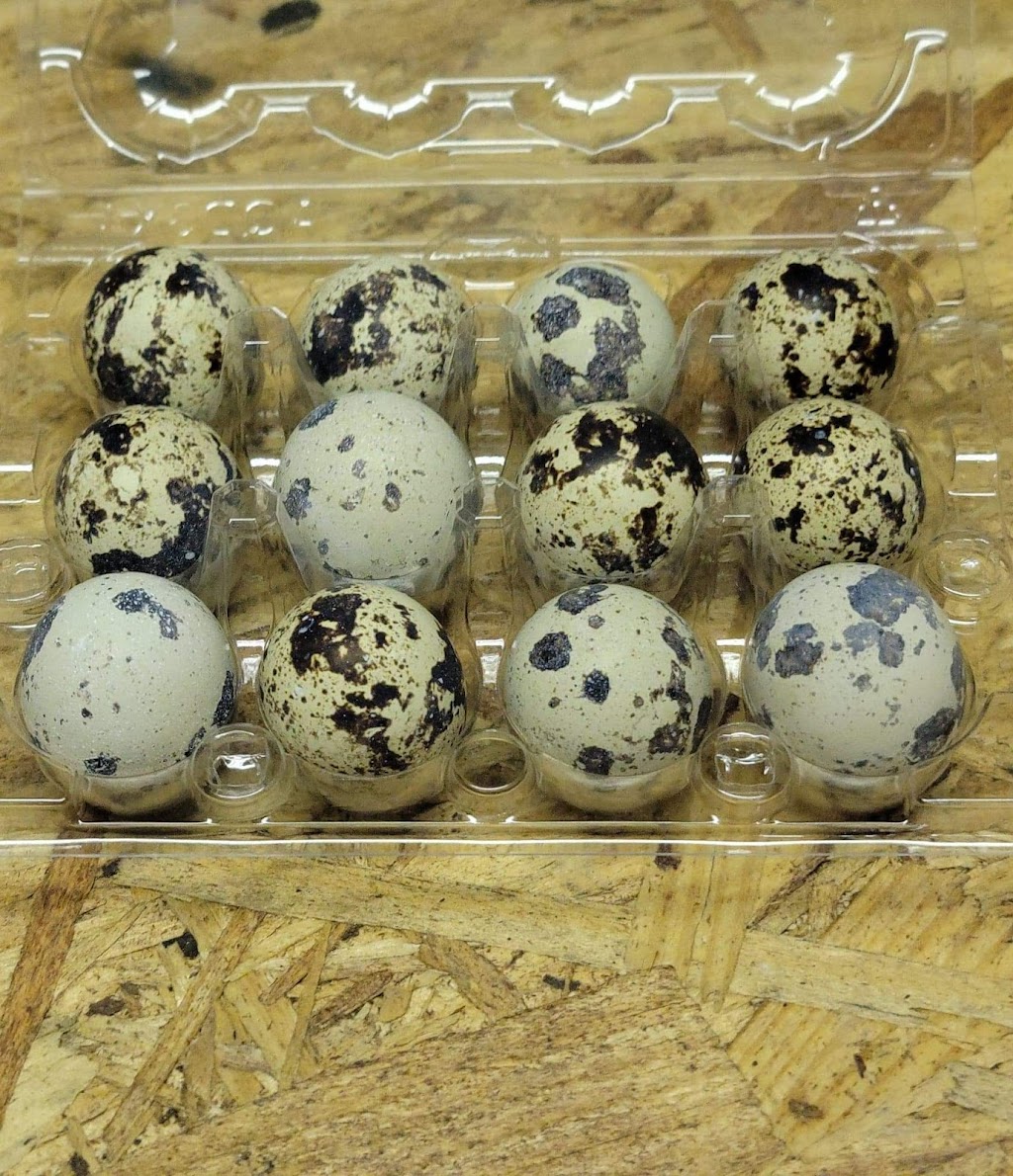 FB Quail and Koi Farm | 22713 Scotia Ln, Moreno Valley, CA 92557, USA | Phone: (951) 406-3884