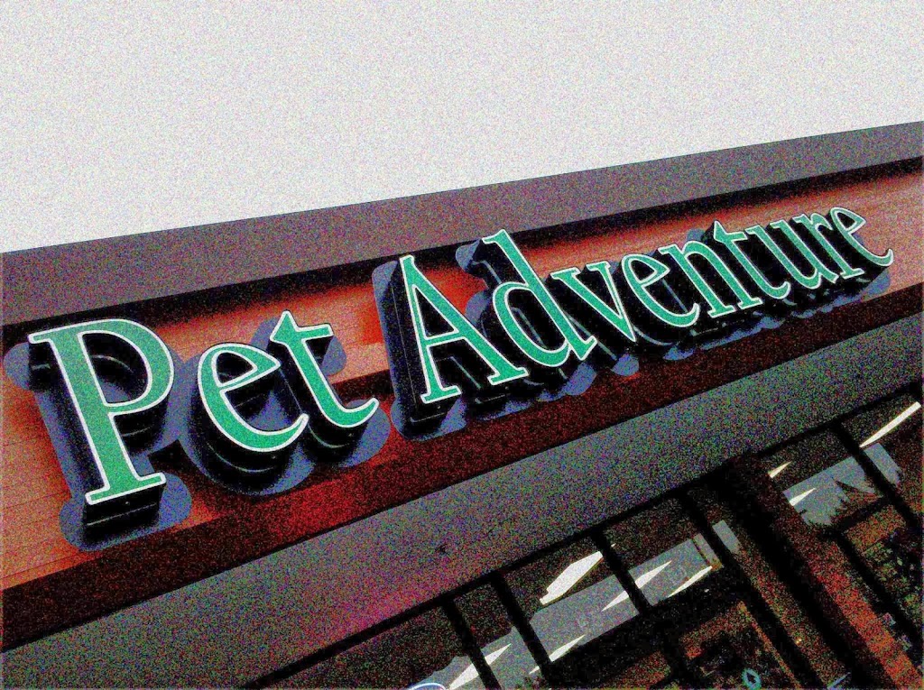 Pet Adventure | 22803 44th Ave W, Mountlake Terrace, WA 98043, USA | Phone: (425) 771-0676