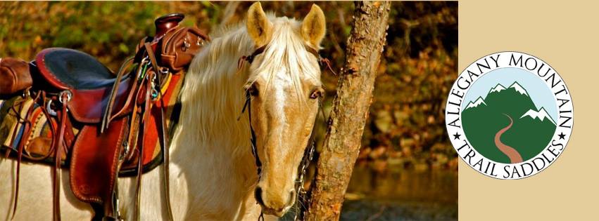 Allegany Mountain Saddlery | 10999 Persia Rd, Gowanda, NY 14070, USA | Phone: (716) 257-9574