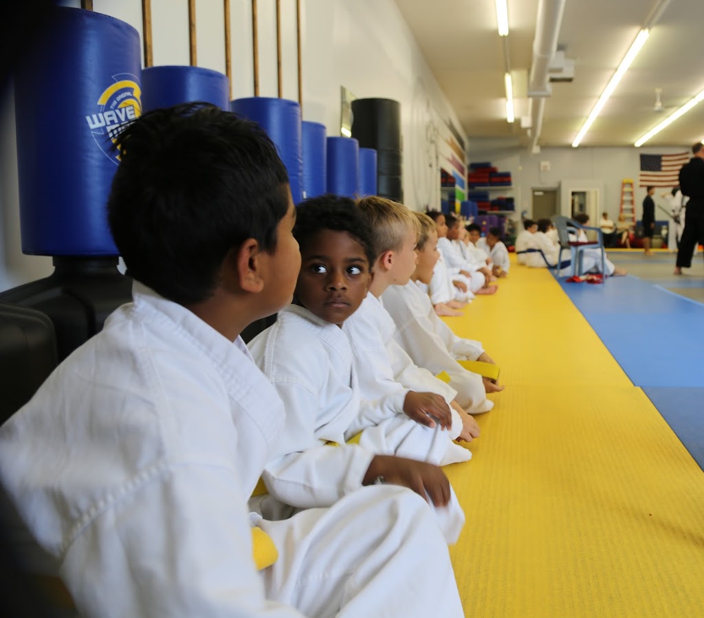 Twinsburg Karate Institute (TKI) | 2272 Pinnacle Pkwy, Twinsburg, OH 44087, USA | Phone: (330) 963-3069