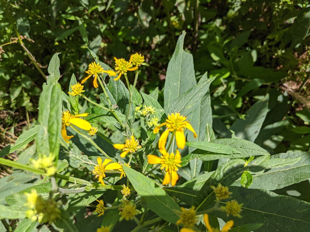 Caesar Creek Gorge State Nature Preserve | 4080 Corwin Rd, Oregonia, OH 45054, USA | Phone: (614) 265-6561