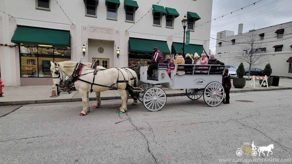 Carriage Limousine Service - Horse Drawn Carriages | 1436 John Campbell Rd, Wellsville, OH 43968, USA | Phone: (330) 532-3866