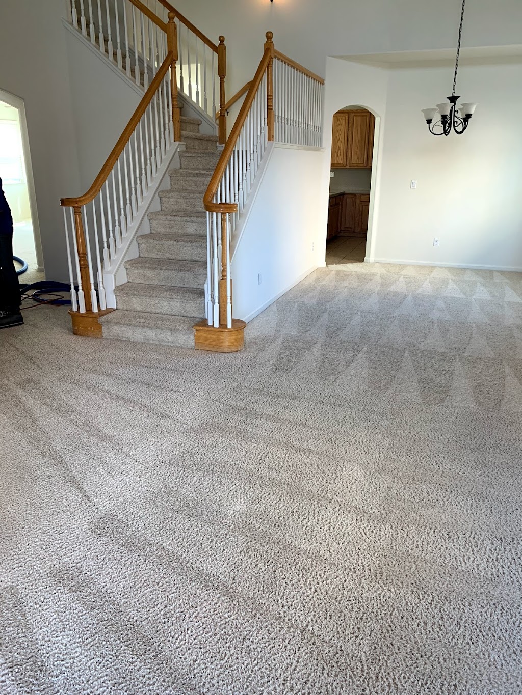 Steampro Carpet Cleaning | 25838 Booker Way, Hayward, CA 94544, USA | Phone: (510) 258-4159