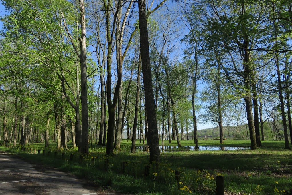 Mouth of Blue River Nature Preserve | Unnamed Road, Corydon, IN 47112, USA | Phone: (812) 738-8232