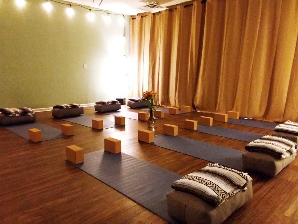 Earth and Sky Yoga | 22 Seabrook Rd, Stockton, NJ 08559, USA | Phone: (908) 892-8297