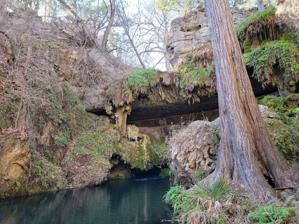 Westcave Outdoor Discovery Center | 24814 Hamilton Pool Rd, Round Mountain, TX 78663, USA | Phone: (830) 825-3442