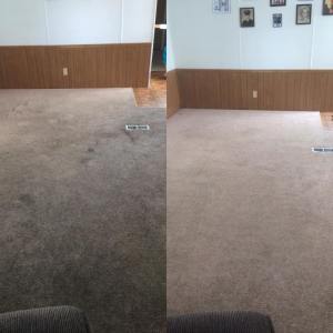 Premier Carpet Cleaning | Van Born Rd, Taylor, MI 48180, USA | Phone: (313) 543-8300