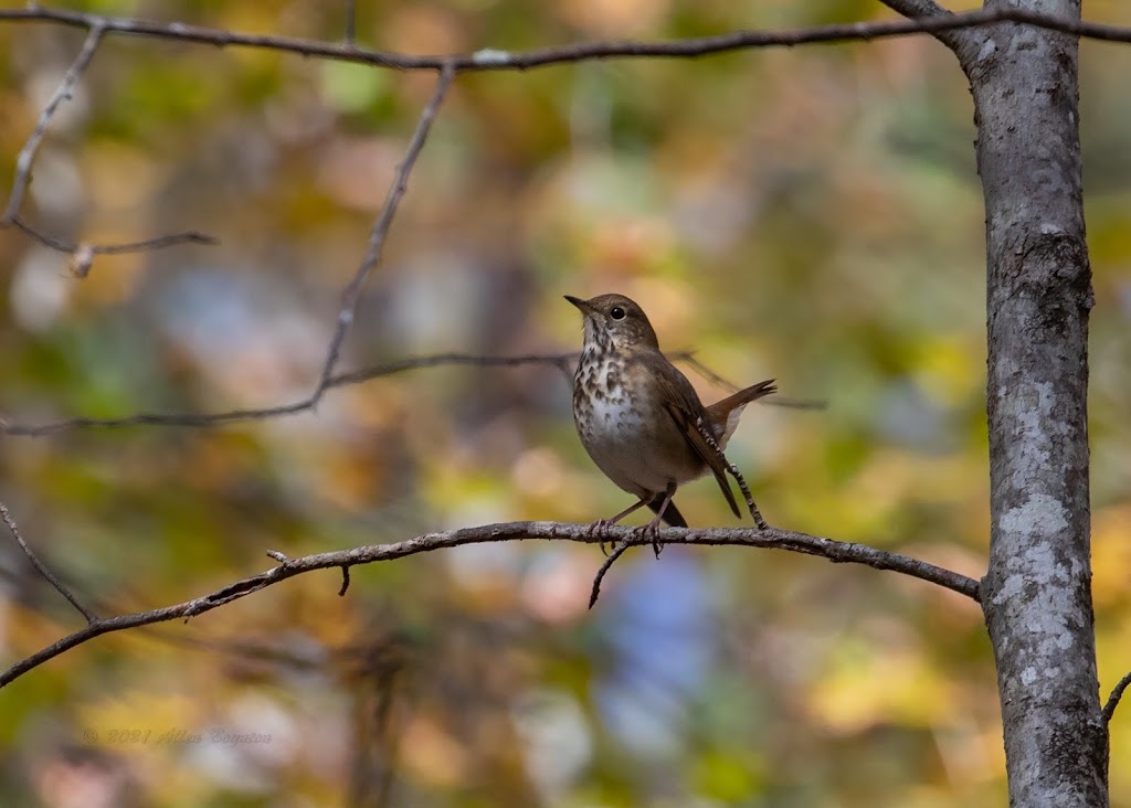 Mason Farm Biological Reserve Trailhead | Chapel Hill, NC 27517, USA | Phone: (919) 962-0522