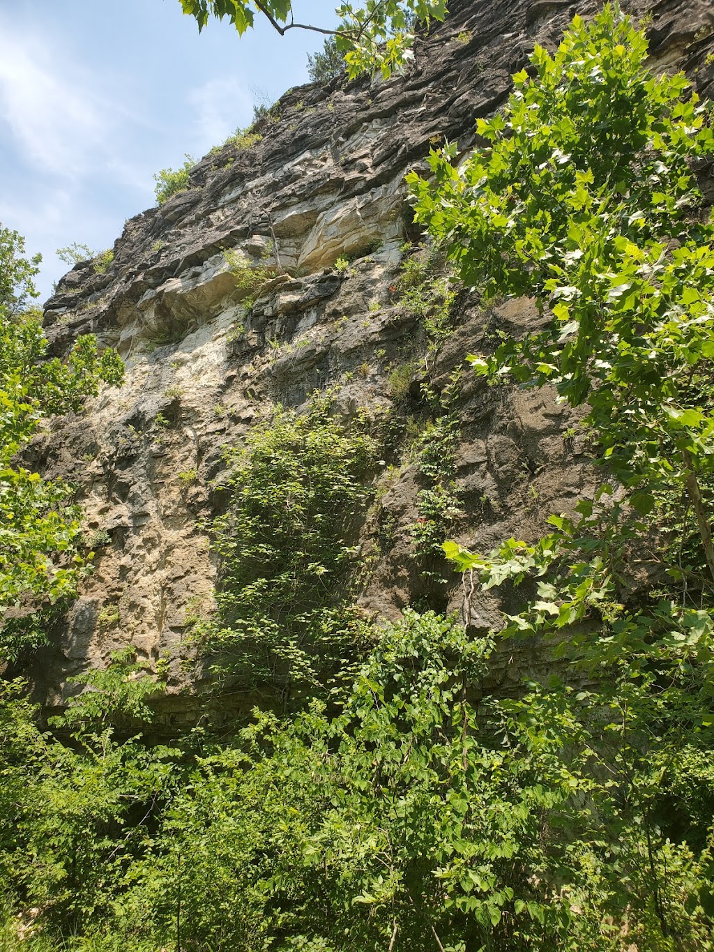 Meramec Greenway Trailhead: Al Foster Trail | 225 Grand Ave, Wildwood, MO 63038, USA | Phone: (636) 458-0440