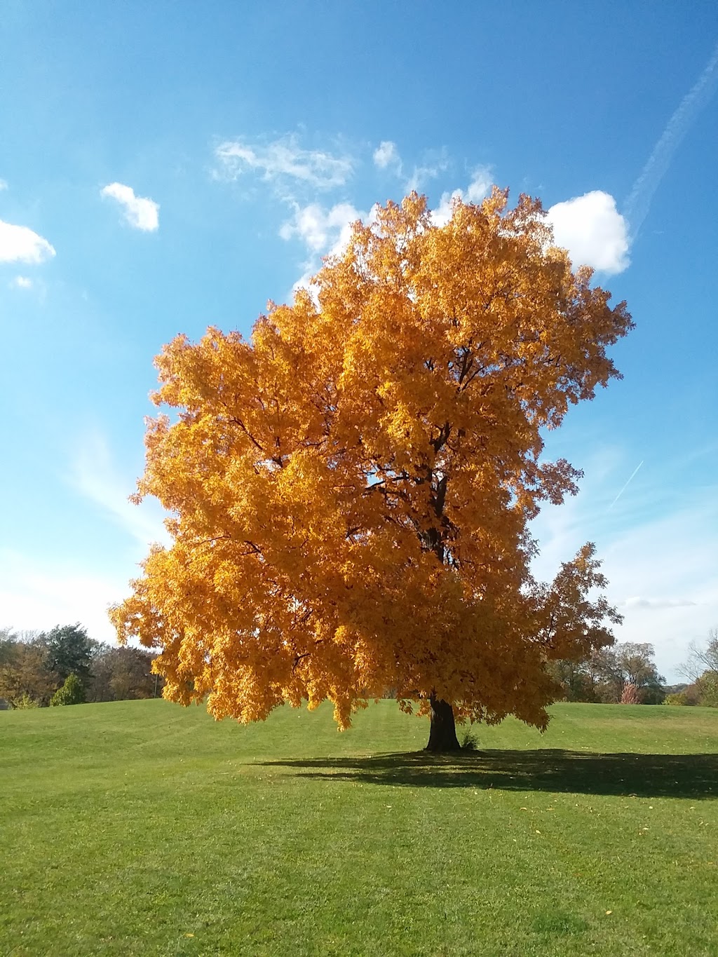 Dexter Community Garden | 7651 Dan Hoey Rd, Dexter, MI 48130, USA | Phone: (734) 426-8303