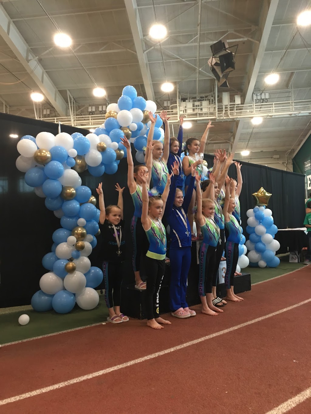 BG World Class Gymnastics | 1706 W Michigan Ave, Clinton, MI 49236, USA | Phone: (517) 456-9626