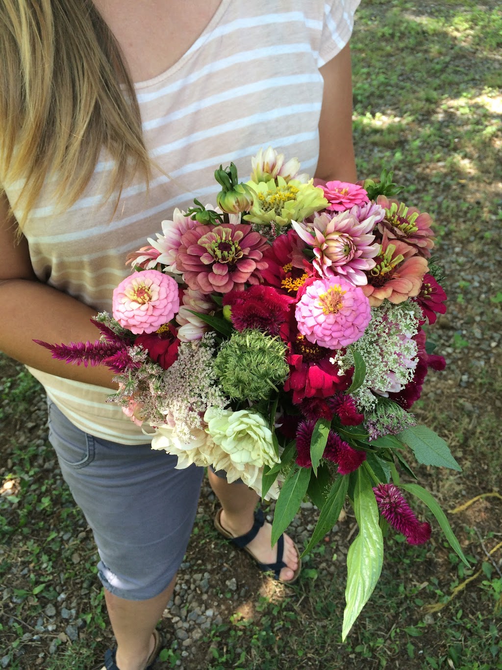 Sophisticated Florals by Stephanie Flower Farm and Delivery | 4133 Transou Rd, Pfafftown, NC 27040, USA | Phone: (336) 816-2852