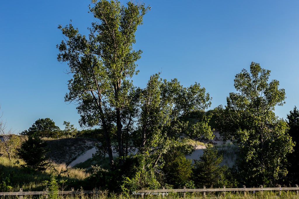 Indiana Dunes National Park West Beach Trail | W Beach Rd, Gary, IN 46403 | Phone: (219) 926-2255