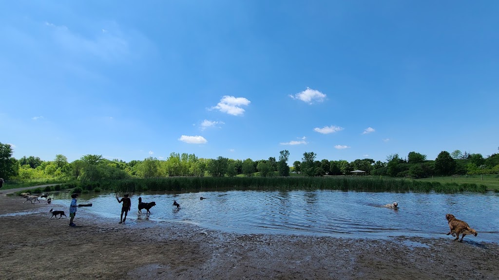 Elm Creek Park Reserve - Dog Off-leash Area | 11750 Zachary Ln N, Champlin, MN 55316, USA | Phone: (763) 694-7894