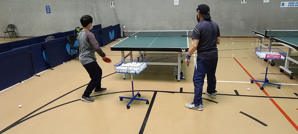 Alameda Ping Pong Gym | 2050 Lincoln Ave, Alameda, CA 94501, USA | Phone: (510) 909-3558