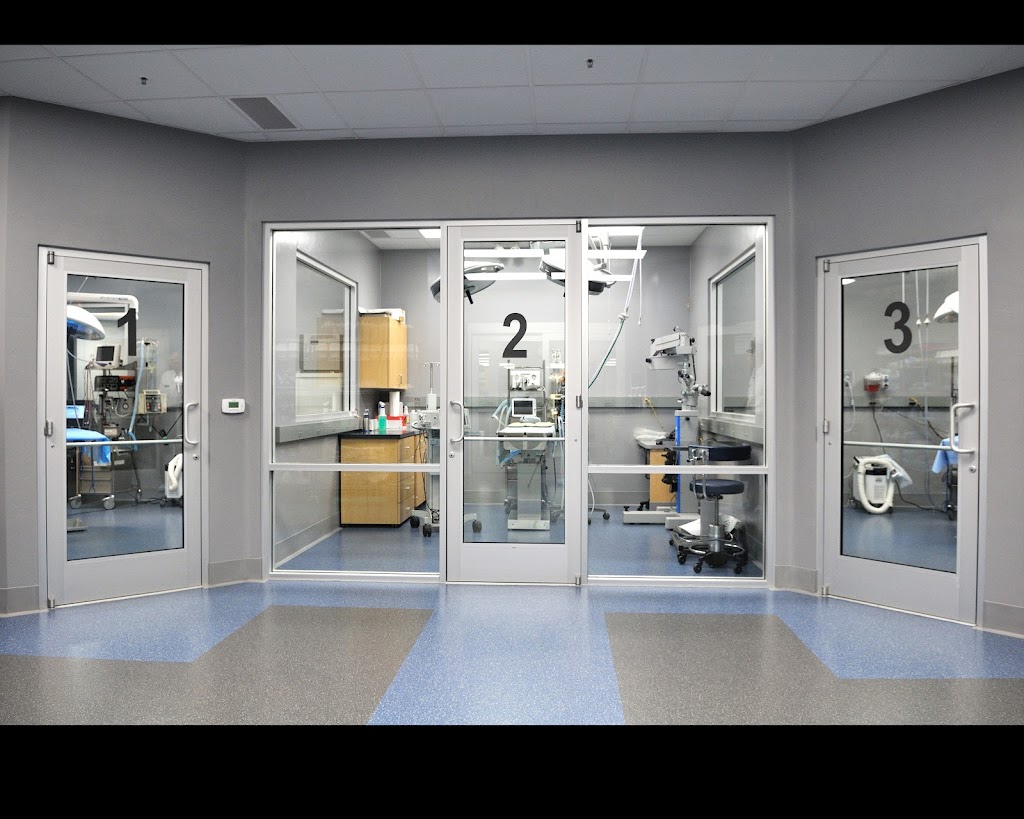 Veterinary Specialty Center Tucson | 4909 N La Cañada Dr, Tucson, AZ 85704, USA | Phone: (520) 795-9955