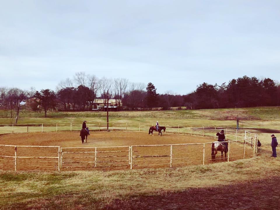 Donnie Dickerson Quarter Horses | 165 Golden West Trail, Mt Airy, NC 27030, USA | Phone: (336) 467-5509