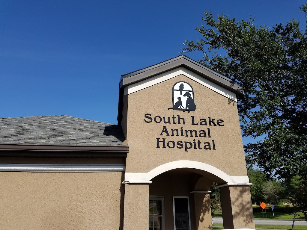 South Lake Animal Hospital | 1067 State Rte 50, Clermont, FL 34711, USA | Phone: (352) 394-2202