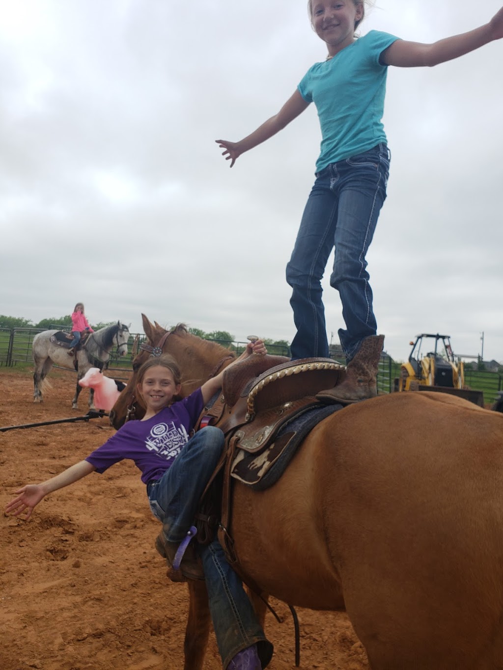 Legend Equestrian Services | 5548 County Rd 907, Godley, TX 76044, USA | Phone: (817) 770-7371