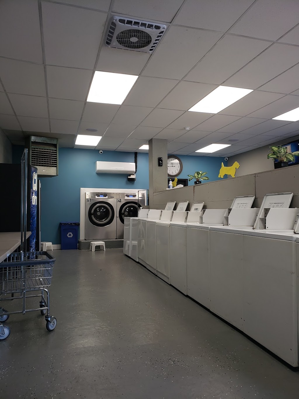 Payne Ave Laundromat | 1482 Payne Ave, North Tonawanda, NY 14120, USA | Phone: (716) 870-5786